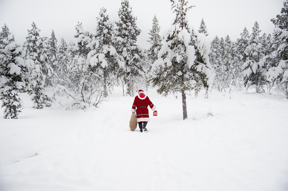 Magical Lapland Day Trips on sale for 2023